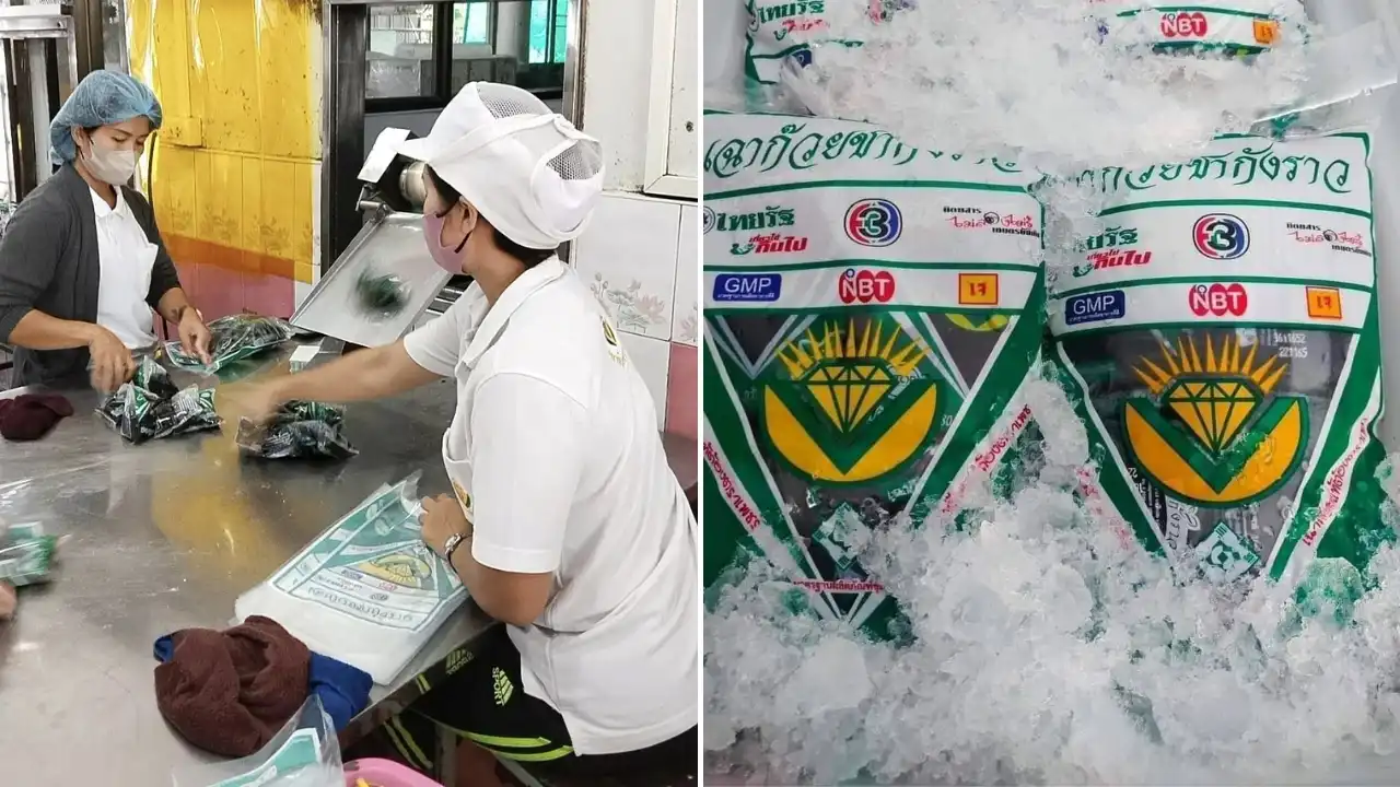 เบื้องหลังสูตรลับเฉาก๊วยชากังราว พนักงานควบคุมการผลิตในโรงงาน และสินค้าที่ได้มาตรฐานพร้อมส่งขาย